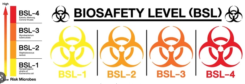 Biosafety level to consider when selecting a biological safety cabinet