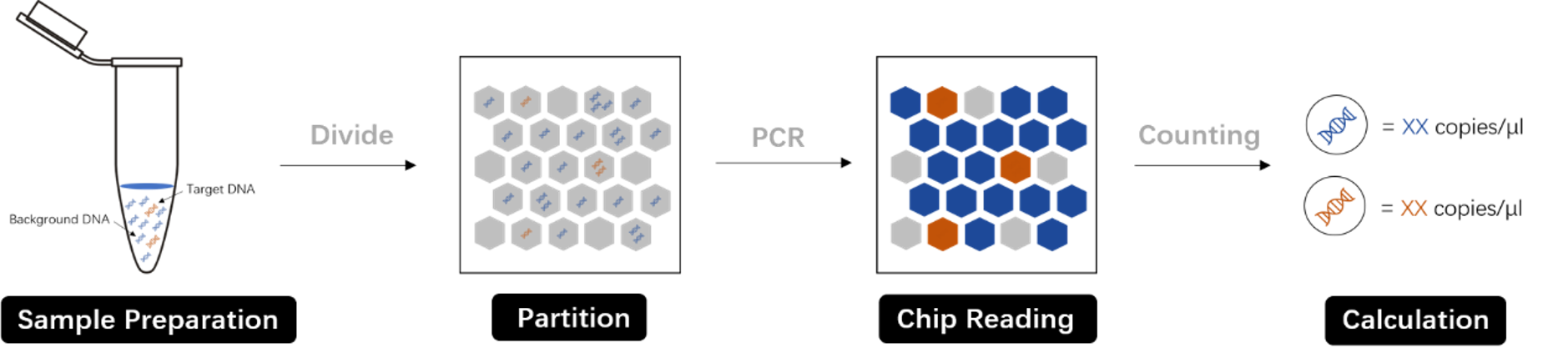 Pathogen Infection Digital PCR Application – Unicorn Lifescience