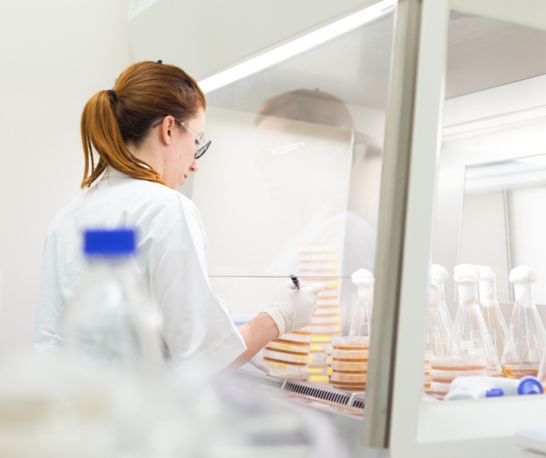 laminar flow hood vs biosafety cabinet in cell culture operation