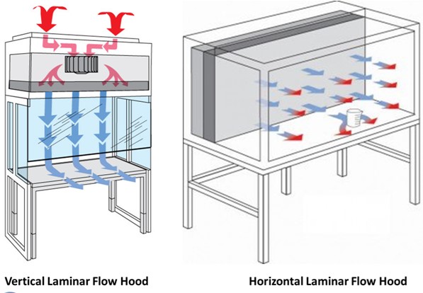 Vertical laminar flow hood vs horizontal laminar flow hood